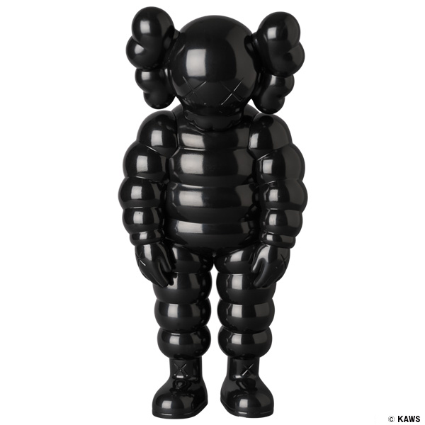 12 KAWS WHAT PARTY WHITE - その他